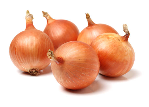 white-onion