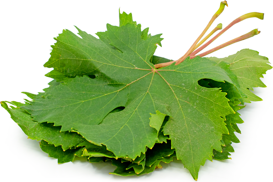 grape-leaves