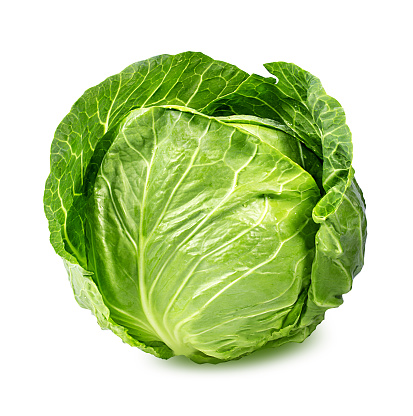 cabbage