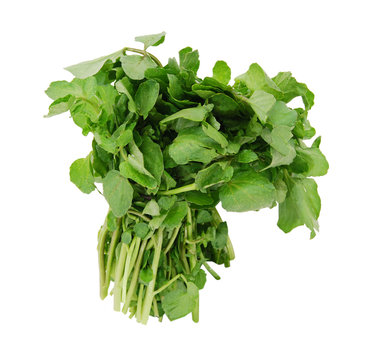 watercress